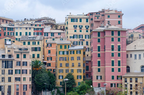 Colorful Italian buildings between the districts of Molo and Carignano in Genoa