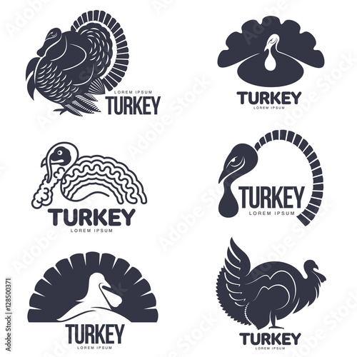Set of turkey stylized graphic logo templates, vector illustration on white background. Various black and white turkey heads and full bodies for business, farm, poultry logo design © sabelskaya