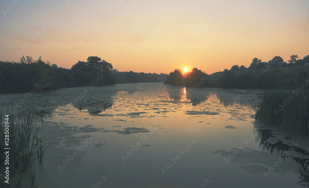 Summer landscape