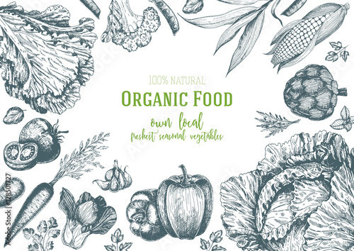 Vegetables top view frame. Organic food poster. Vector illustration. Linear graphic.