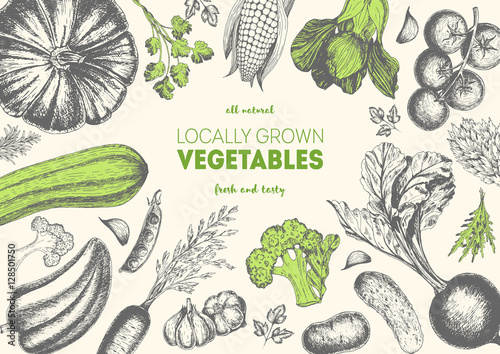 Vegetables top view frame. Organic food poster. Vector illustration. Linear graphic.