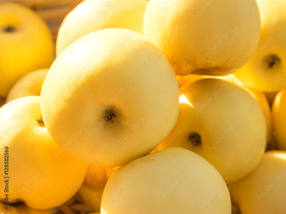 Sunny ripe yellow Antonovka apples in blurred vignette.
Sunny ripe yellow Antonovka apples in blurred vignette.