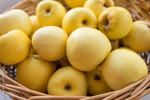 Sunny ripe yellow Antonovka apples in basket in blurred vignette.
