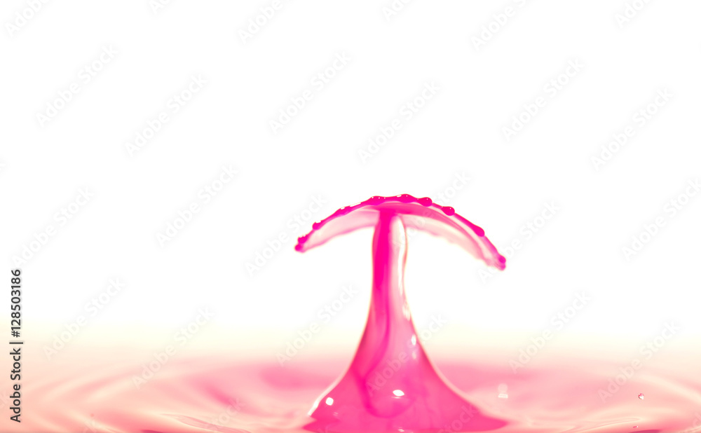 Water drop falling and drips on water mirror. Water drop splash and make perfect circles on surface. water fungus