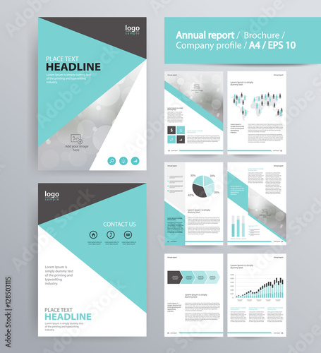 page layout for company profile, annual report, brochure, and flyer layout template. with info graphic element. and vector A4 size for editable