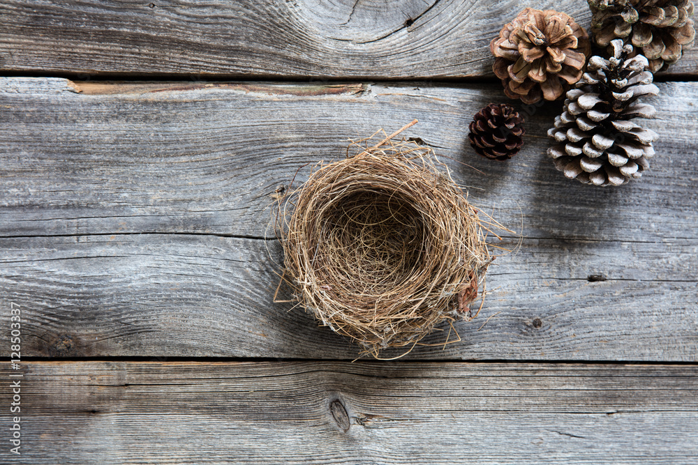 empty nest on old wood for symbols of sustainable winter empty nest on old wood for symbols of sustainable winter