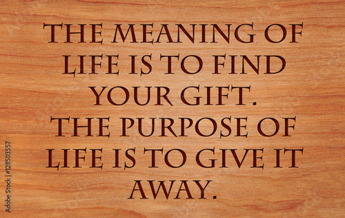 Canvas Print The meaning of life is to find your gift