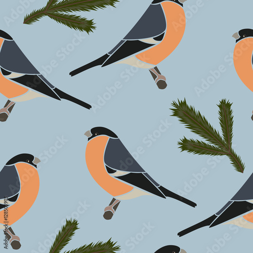 Seamless pattern bullfinch blue, vector