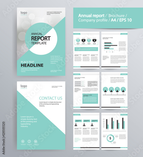 page layout for company profile, annual report, brochure, and flyer layout template. with info graphic element. and vector A4 size for editable