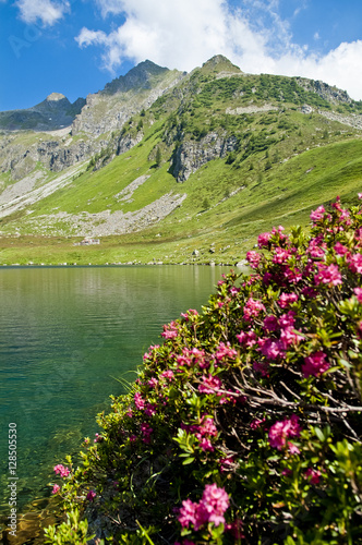 lago di campo primavera