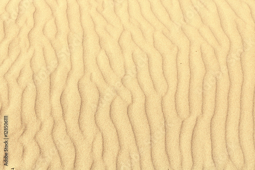 Sand texture. Marks of the wind in the sand