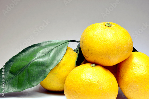 untreated Mandarin with green leaves