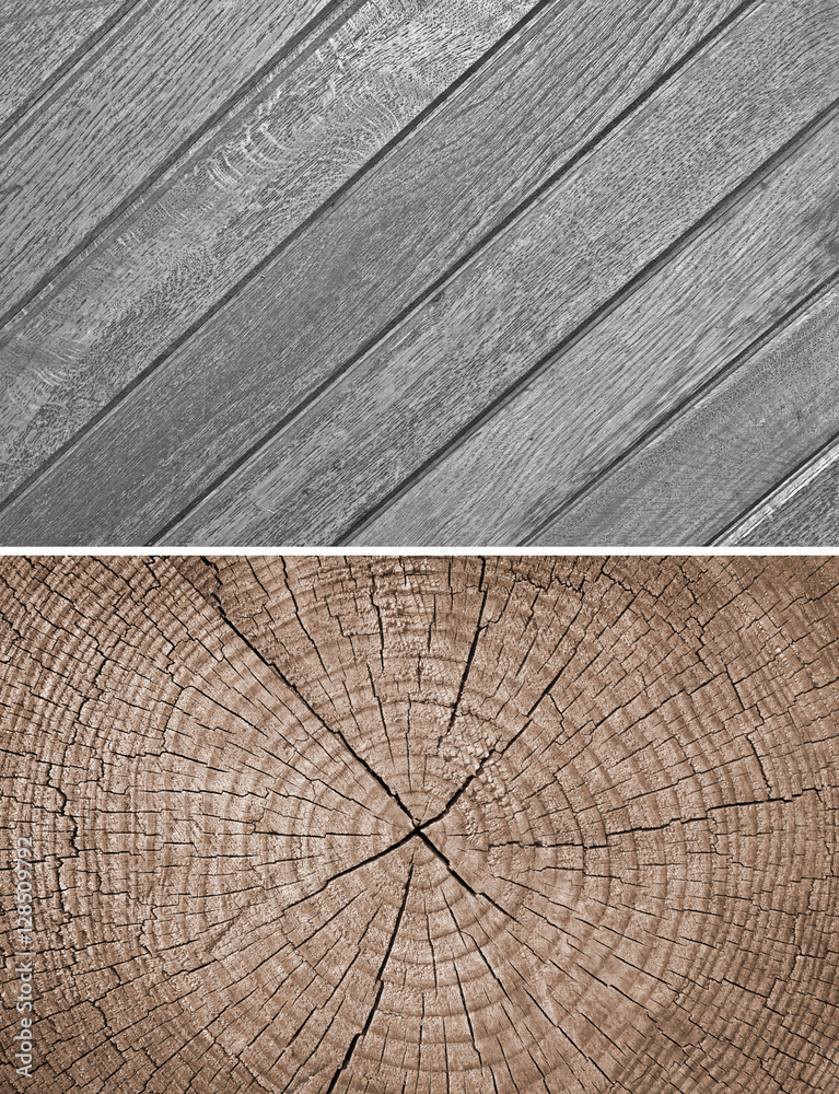 Fototapeta premium Wood texture. Lining boards wall. Wooden background. pattern. Showing growth rings. set