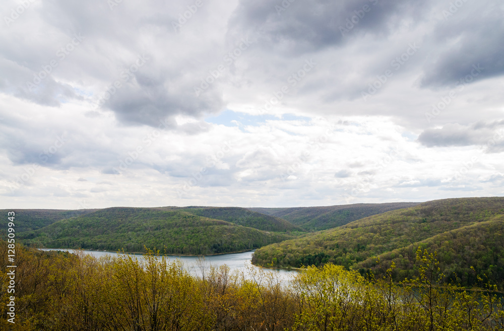 Allegheny National Forest