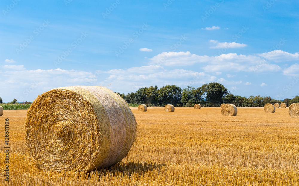 Strohballen Panorama.