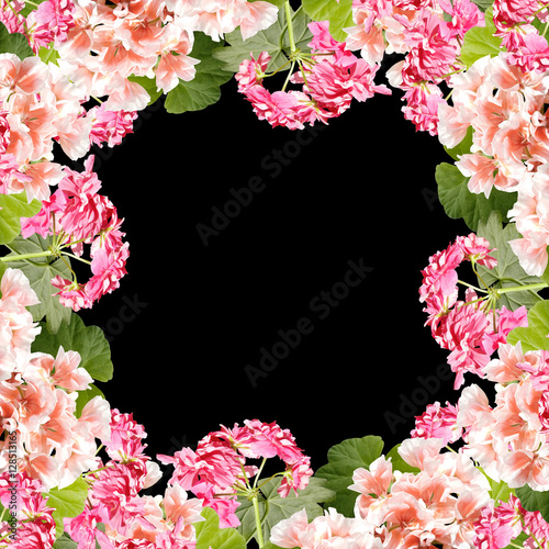 Fototapeta Naklejka Na Ścianę i Meble -  Beautiful floral background of pink and orange pelargonium 
