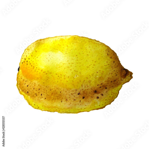 Watercolor illustration of fruit lemon isolated on white background. Juicy fruit for your fashion design postcards, backgrounds, banners, prints.