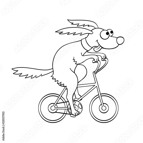 Cute dog riding a bicycle.