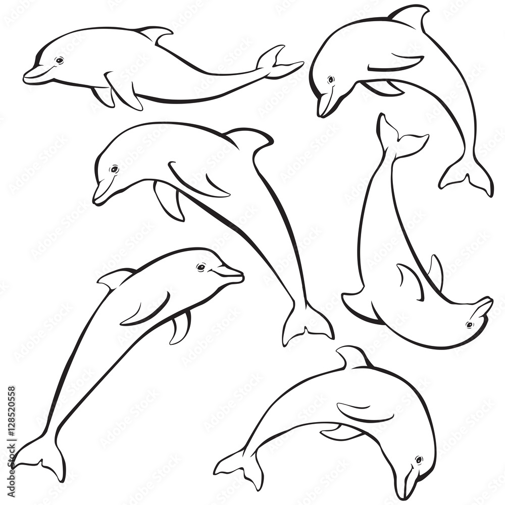 Obraz premium Sketch of dolphins set