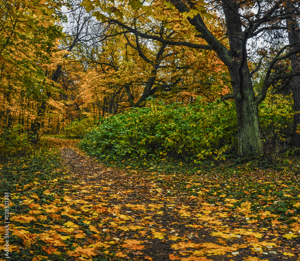 A walk in the autumn Park