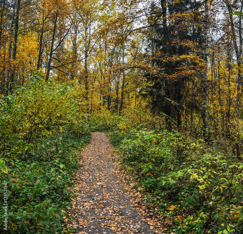 A walk in the autumn Park