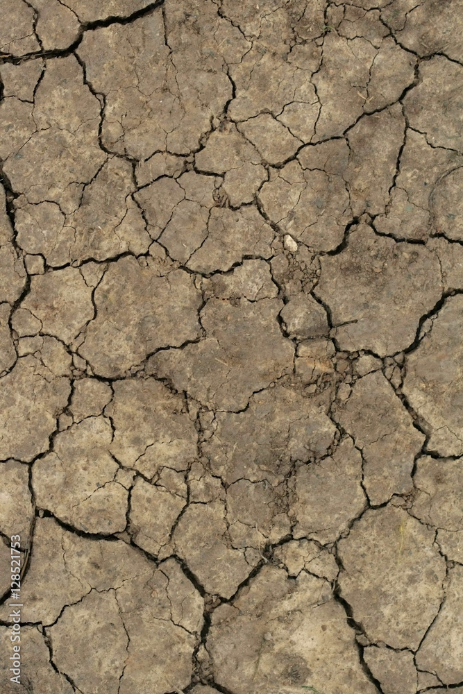 death earth surface death earth surface