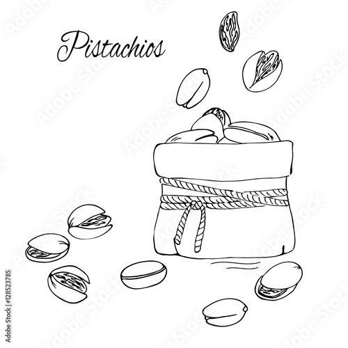 vector simple sketch of pistachios in pack