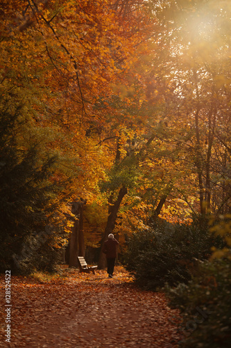 Lonely man in the autumn park