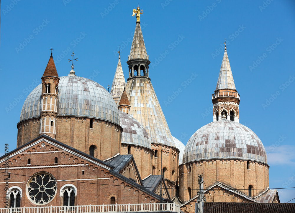 Basilica di Sant'Antonio da Padova, in Padua, Italy