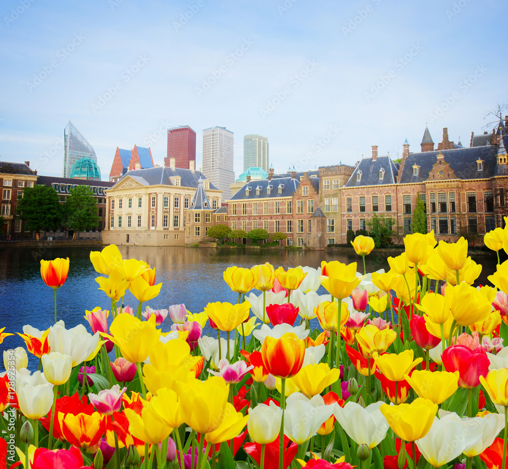 city center of Den Haag - old and new at spring, Netherlands