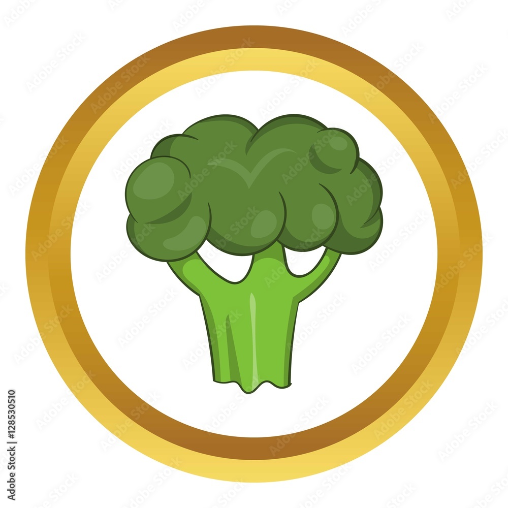Broccoli vector icon in golden circle, cartoon style isolated on white background Broccoli vector icon in golden circle, cartoon style isolated on white background