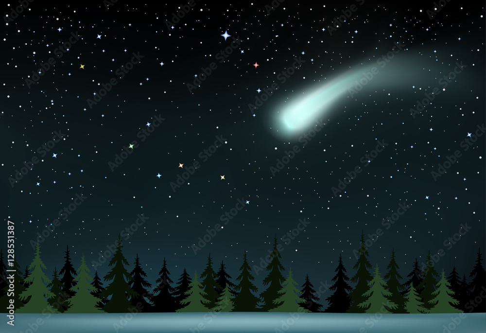 Naklejka premium comet falls over the night wood