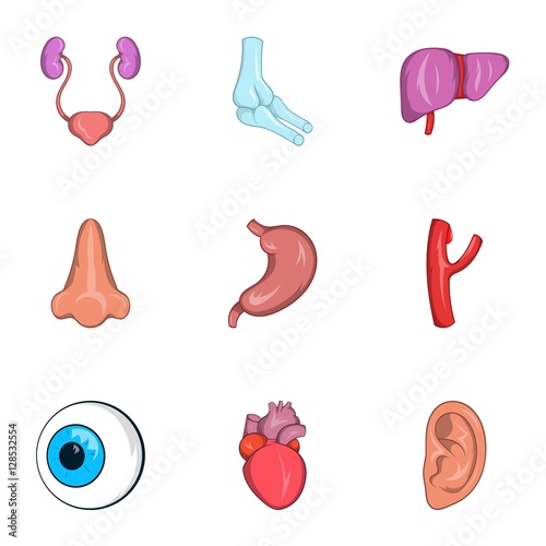 Structure of body icons set. Cartoon illustration of 9 structure of body vector icons for web