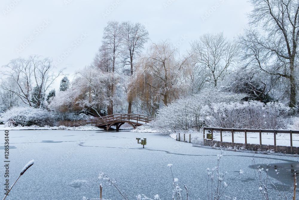 White winter landscape in municipal garden with a thin layer of freshly fallen snow