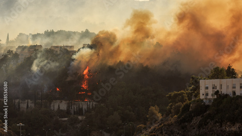 The fire in the city