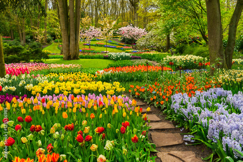 Colourful Tulips Flowerbeds and Stone Path in an Spring Formal Garden