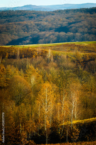 View over the hills in fall season
