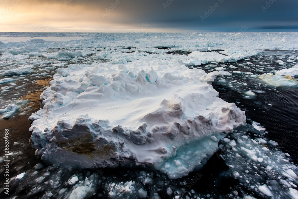 Obraz premium Big ice floe on Antarctic ocean
