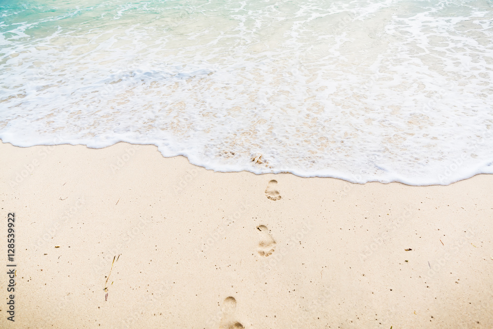 Tropical beach and ocean