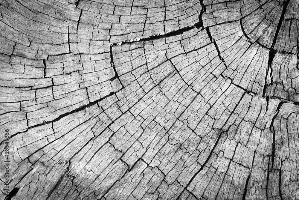 Fototapeta premium old brown wood background texture.