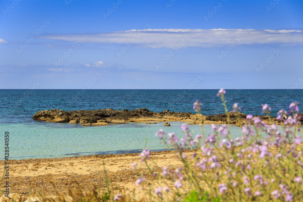 Salento coast: typical beach with sandy coves and cliffs. ITALY, Apulia.From Torre Pali to Pescoluse the shore is made of a so fine white sand and vashed by a so clear sea that it is called 'Maldive