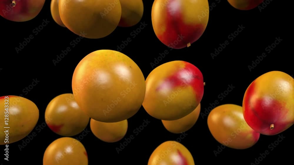 Mangos falling in slow motion. Alpha channel.