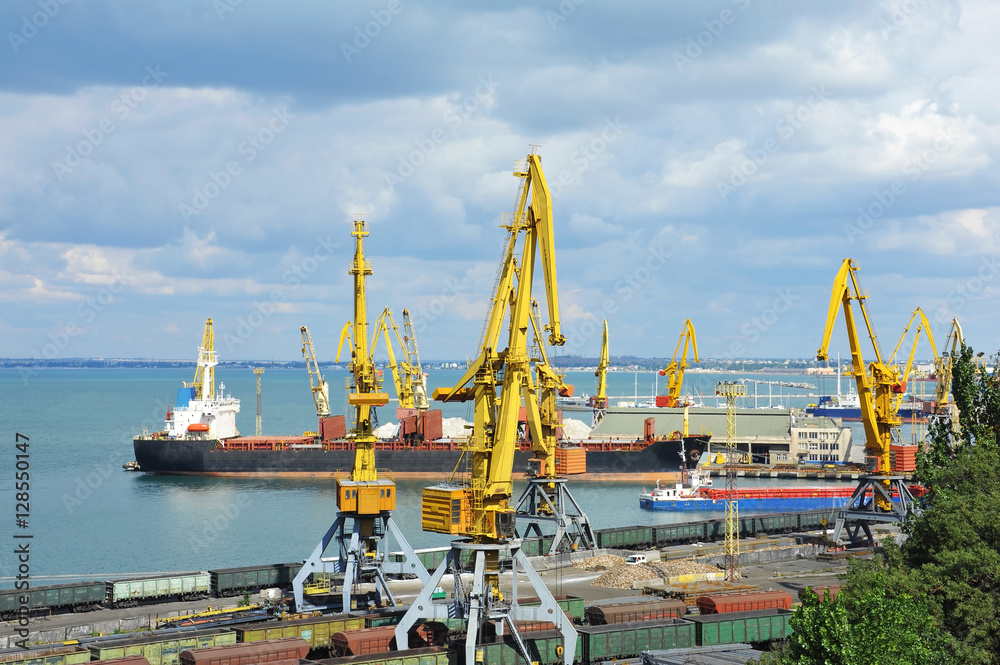 Bulk cargo ship and train under port crane