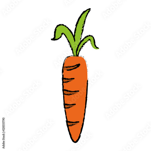 drawing fresh carrot vegetable healthy icon vector illustration eps 10