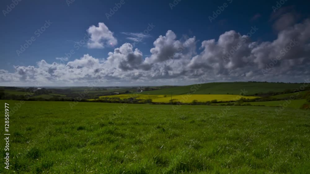 HD Summer landscape and field view HD Summer landscape and field view