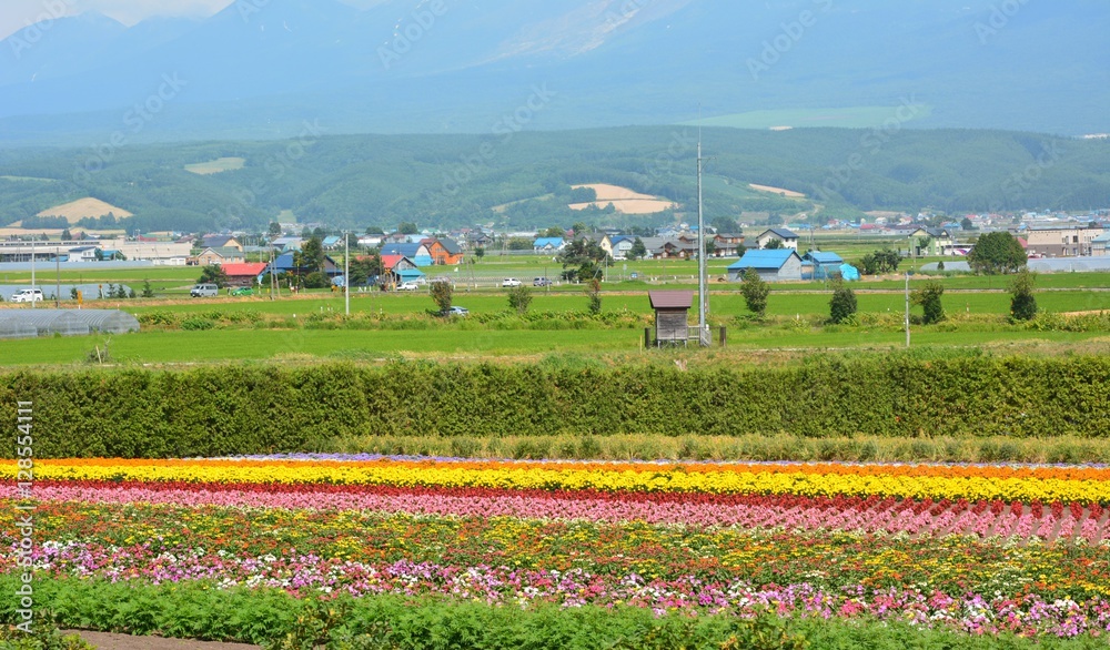 Landscape views in Japan.