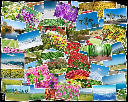 Collage of various nature photos