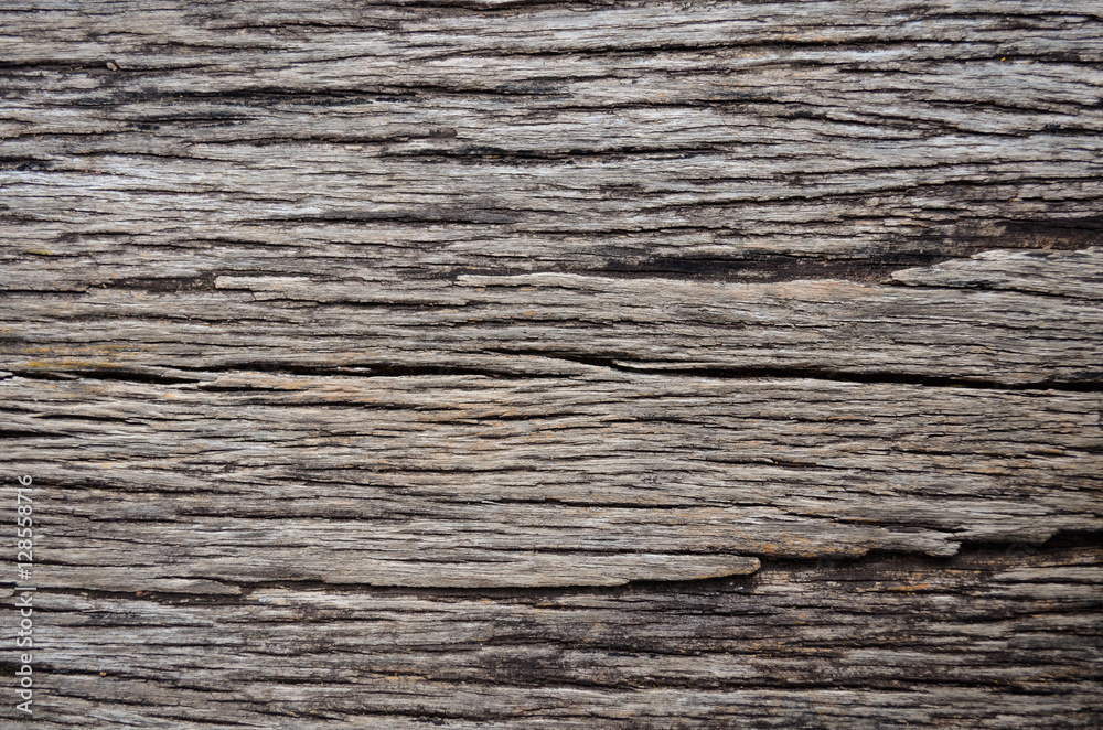 Rustic wood background. Old plank. Taxture wood Background. Rustic wood background. Old plank. Taxture wood Background.