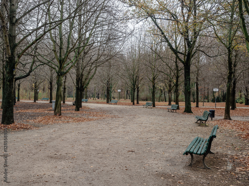 Benches at Tiergarten