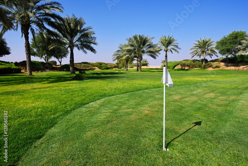 Oasis in desert